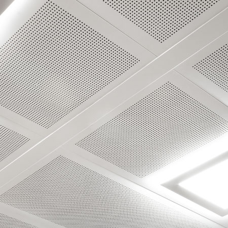 BANDRASTER TAŞIYICILAR