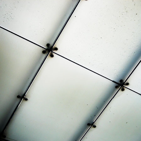 VITREOUS GLASS CEILING